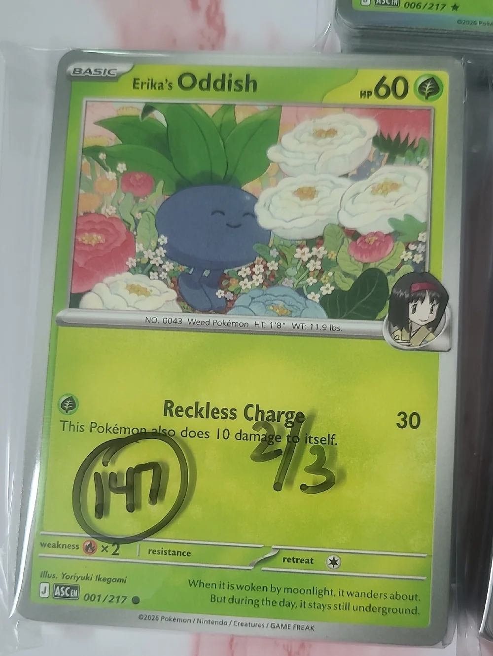 Pokemon Ascended Heroes Lot Of 147